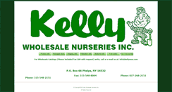 Desktop Screenshot of kellywsn.com