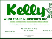 Tablet Screenshot of kellywsn.com